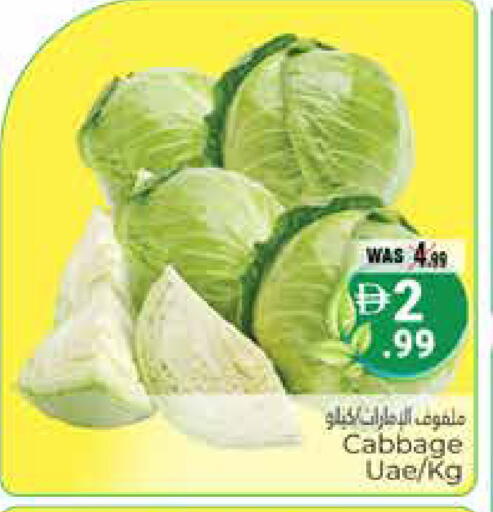 Cabbage available at هايبر ماركت باسونز in الإمارات العربية المتحدة , الامارات - ٱلْعَيْن‎