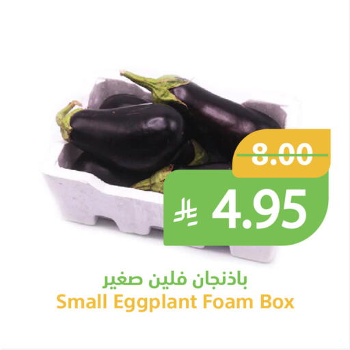 Eggplant available at Qateba Markets in KSA, Saudi Arabia, Saudi - Buraidah