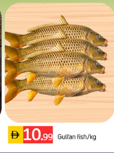 available at سوق طلال in الإمارات العربية المتحدة , الامارات - الشارقة / عجمان