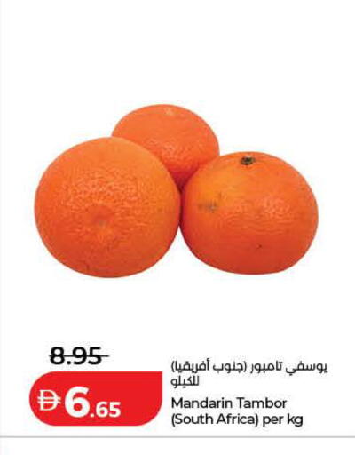Mandarin from South Africa available at لولو هايبرماركت in الإمارات العربية المتحدة , الامارات - الشارقة / عجمان