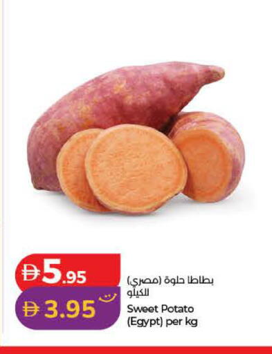 Sweet Potato from Egypt available at لولو هايبرماركت in الإمارات العربية المتحدة , الامارات - الشارقة / عجمان