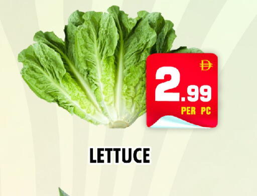 Lettuce available at نايت تو نايت in الإمارات العربية المتحدة , الامارات - الشارقة / عجمان