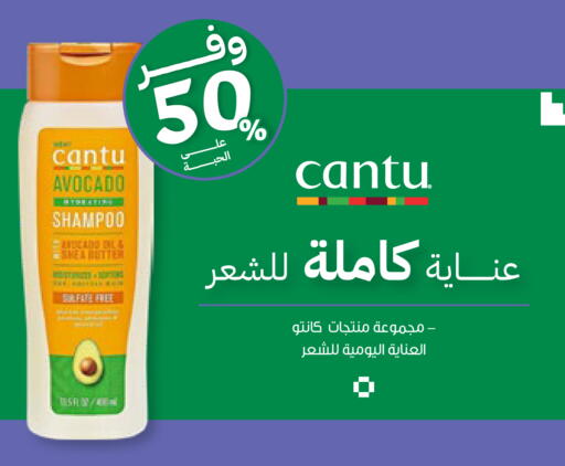 Avocado available at Innova Health Care in KSA, Saudi Arabia, Saudi - Bishah