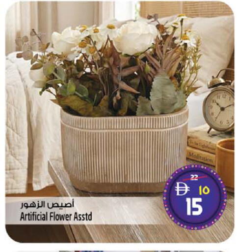 available at سفاري هايبرماركت in الإمارات العربية المتحدة , الامارات - دبي