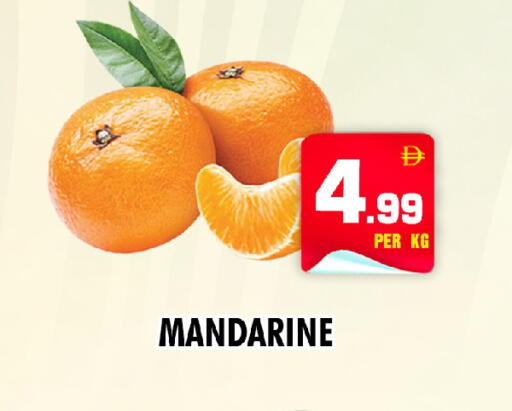 available at نايت تو نايت in الإمارات العربية المتحدة , الامارات - الشارقة / عجمان