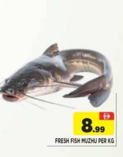 available at Ainas Al madina hypermarket in UAE - Sharjah / Ajman