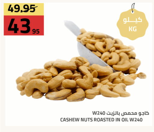 available at أسواق أسترا in مملكة العربية السعودية, السعودية, سعودية - تبوك