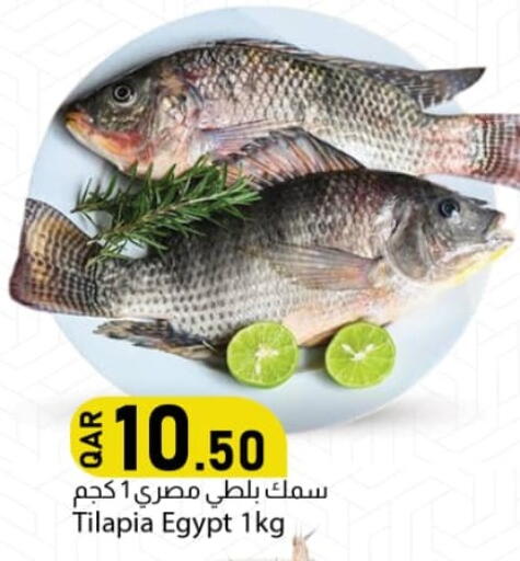available at دانا ماركت in قطر - الريان