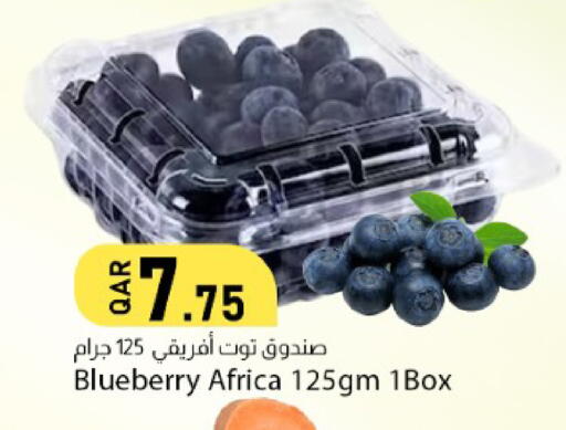 Blueberry BlueBerry available at دانا ماركت in قطر - الشحانية