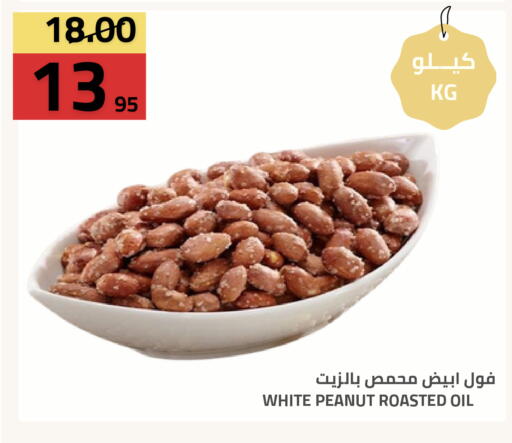 available at أسواق أسترا in مملكة العربية السعودية, السعودية, سعودية - تبوك