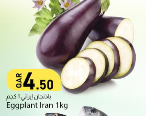 Eggplant from Iran available at Dana Market in Qatar - Al-Shahaniya