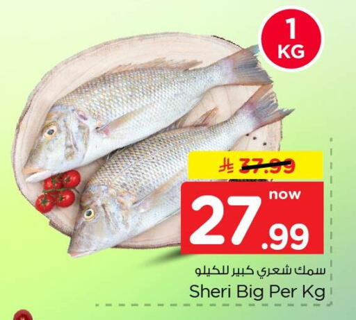 available at Nesto in KSA, Saudi Arabia, Saudi - Dammam