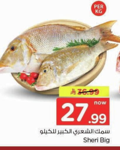available at Nesto in KSA, Saudi Arabia, Saudi - Buraidah