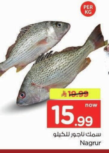 available at Nesto in KSA, Saudi Arabia, Saudi - Buraidah