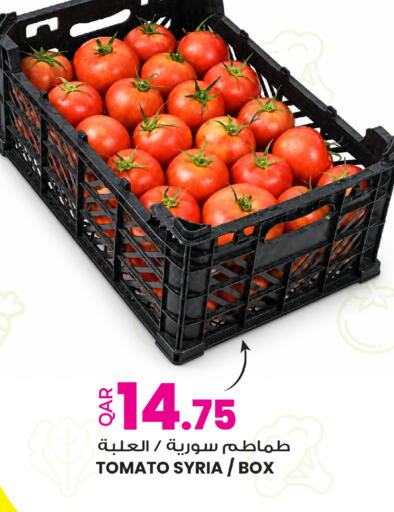 Tomato from Syria available at أنصار جاليري in قطر - الدوحة