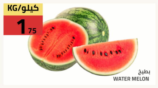 Melon available at Astra Markets in KSA, Saudi Arabia, Saudi - Tabuk