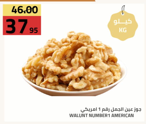 available at أسواق أسترا in مملكة العربية السعودية, السعودية, سعودية - تبوك