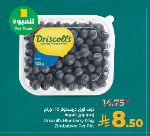 Blueberry BlueBerry from Zimbabwe available at LULU Hypermarket in KSA, Saudi Arabia, Saudi - Dammam