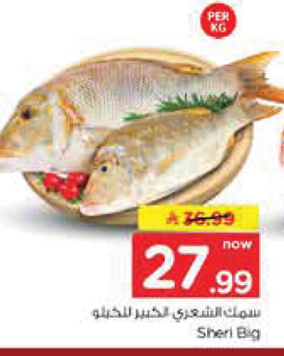 available at نستو in مملكة العربية السعودية, السعودية, سعودية - الخرج