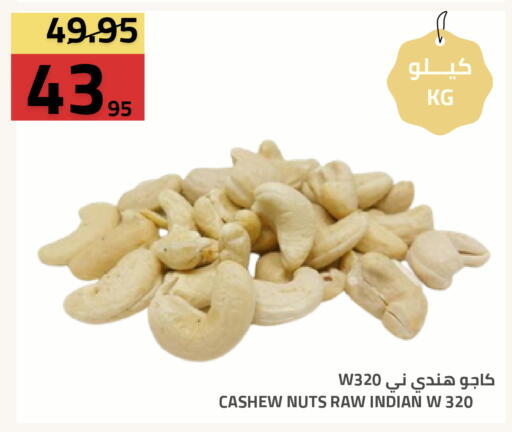 available at أسواق أسترا in مملكة العربية السعودية, السعودية, سعودية - تبوك