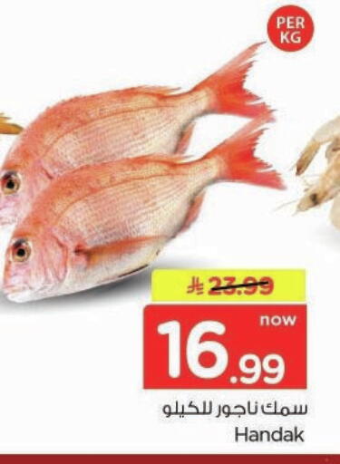 available at Nesto in KSA, Saudi Arabia, Saudi - Buraidah