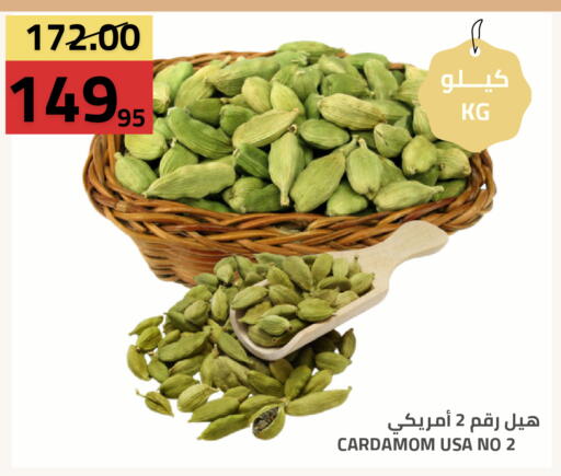 Cardamom available at أسواق أسترا in مملكة العربية السعودية, السعودية, سعودية - تبوك