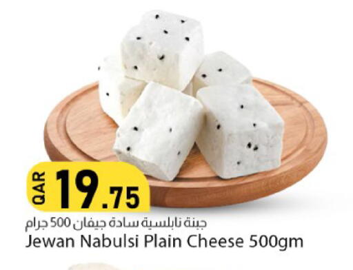 available at دانا ماركت in قطر - الشحانية