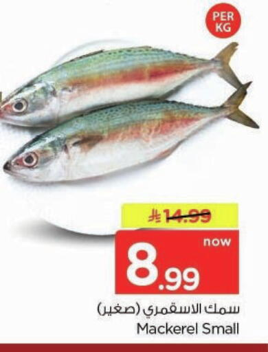 available at Nesto in KSA, Saudi Arabia, Saudi - Buraidah