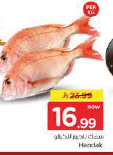 available at نستو in مملكة العربية السعودية, السعودية, سعودية - الخرج