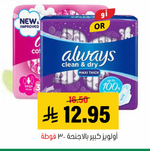 available at العامر للتسوق in مملكة العربية السعودية, السعودية, سعودية - الأحساء‎