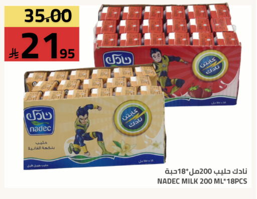 available at أسواق أسترا in مملكة العربية السعودية, السعودية, سعودية - تبوك