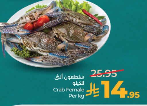 available at LULU Hypermarket in KSA, Saudi Arabia, Saudi - Yanbu