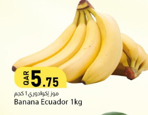 Banana from Ecuador available at دانا ماركت in قطر - الشحانية