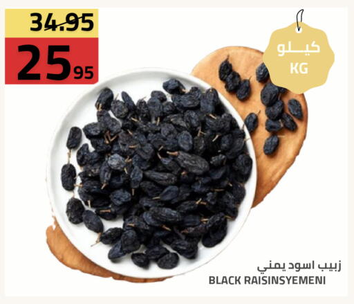 available at Astra Markets in KSA, Saudi Arabia, Saudi - Tabuk