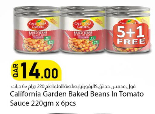 Tomato available at دانا ماركت in قطر - الشحانية