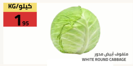 Cabbage available at Astra Markets in KSA, Saudi Arabia, Saudi - Tabuk