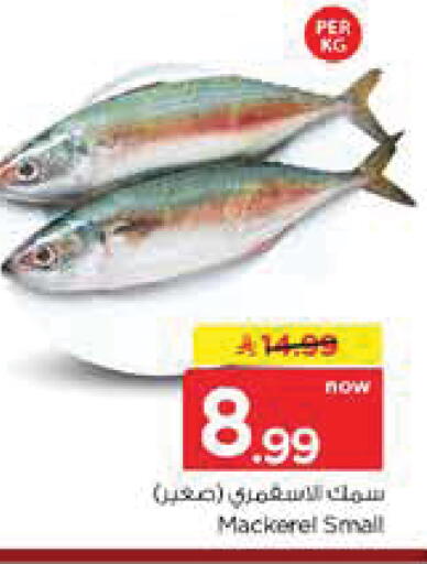 available at نستو in مملكة العربية السعودية, السعودية, سعودية - الخرج