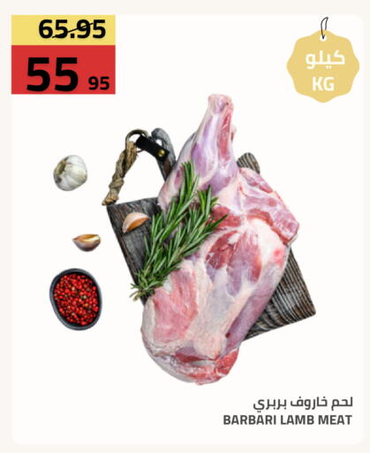 available at أسواق أسترا in مملكة العربية السعودية, السعودية, سعودية - تبوك