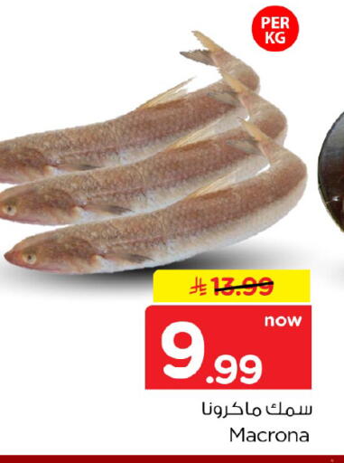 available at نستو in مملكة العربية السعودية, السعودية, سعودية - الرياض