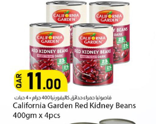 available at دانا ماركت in قطر - الشحانية