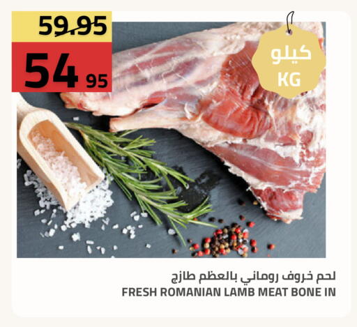 available at أسواق أسترا in مملكة العربية السعودية, السعودية, سعودية - تبوك