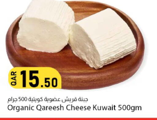 available at دانا ماركت in قطر - الشحانية