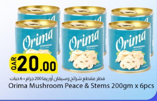 Mushroom available at دانا ماركت in قطر - الشحانية