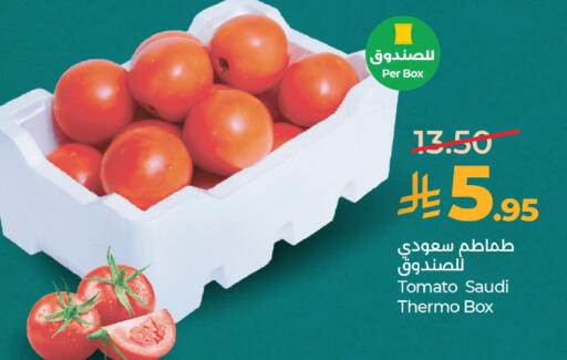 Tomato from Saudi Arabia available at لولو هايبرماركت in مملكة العربية السعودية, السعودية, سعودية - جدة