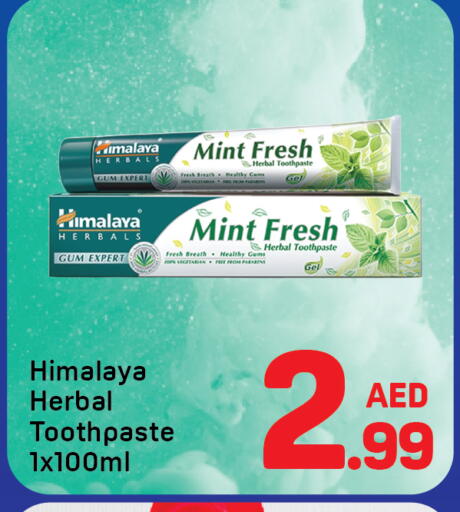 Mint available at Day to Day Department Store in UAE - Dubai