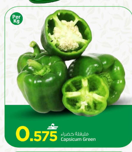 Capsicum available at MARK & SAVE in Oman - Muscat