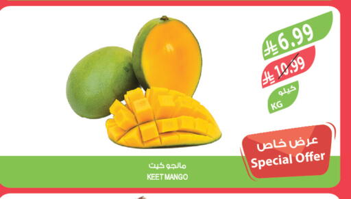 Mango available at Farm  in KSA, Saudi Arabia, Saudi - Dammam
