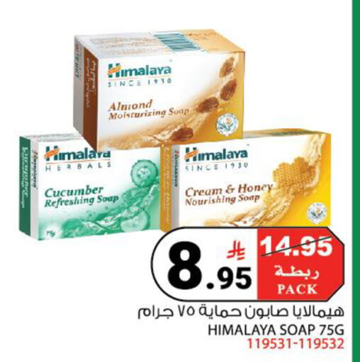 Cucumber available at House Care in KSA, Saudi Arabia, Saudi - Mecca