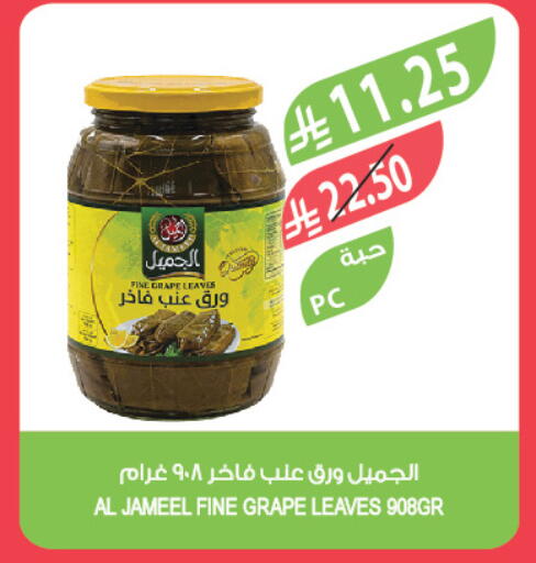 available at Farm  in KSA, Saudi Arabia, Saudi - Dammam