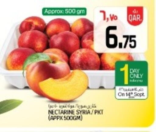 Nectarine from Syria available at السعودية in قطر - الدوحة